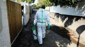 Dengue : 94 cas confirmés en une semaine. Image 1